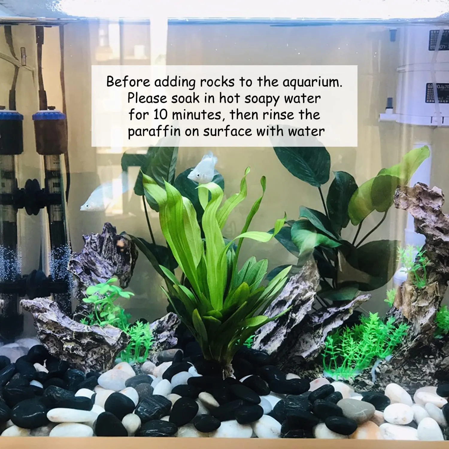 40lbs Black River Rocks - 2-3 inch Pebbles for Indoor Plants, Large Decorative Stones for Planters, Aquarium, Fish Tank & Garden