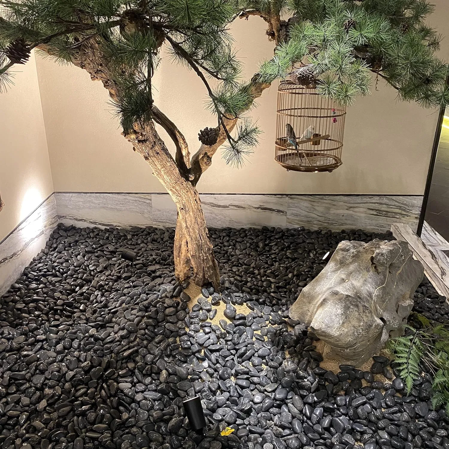 40lbs Black River Rocks - 2-3 inch Pebbles for Indoor Plants, Large Decorative Stones for Planters, Aquarium, Fish Tank & Garden