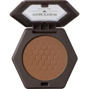 Burt's Bees 100% Natural Origin Blush with Vitamin E, Toasted Cinnamon - 0.19 Ounce