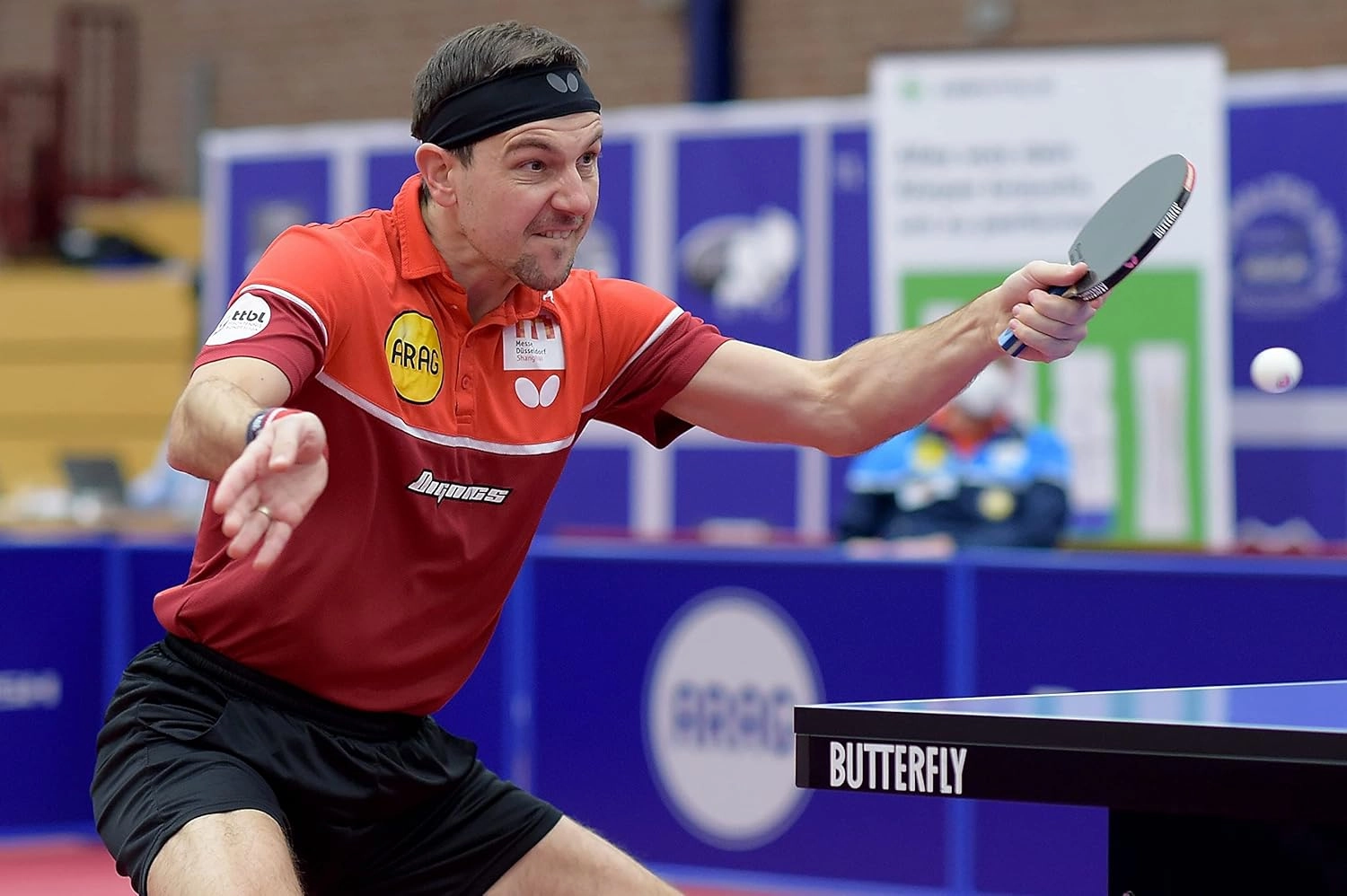 Butterfly Timo Boll