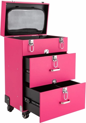 Cosmetic Train Case, Rolling Makeup Trolley Case, Large Capacity Storage Case, Organizer with Wheels, Nail Polish Organizer for Professional Makeup Artist, Hairdresser (pink)