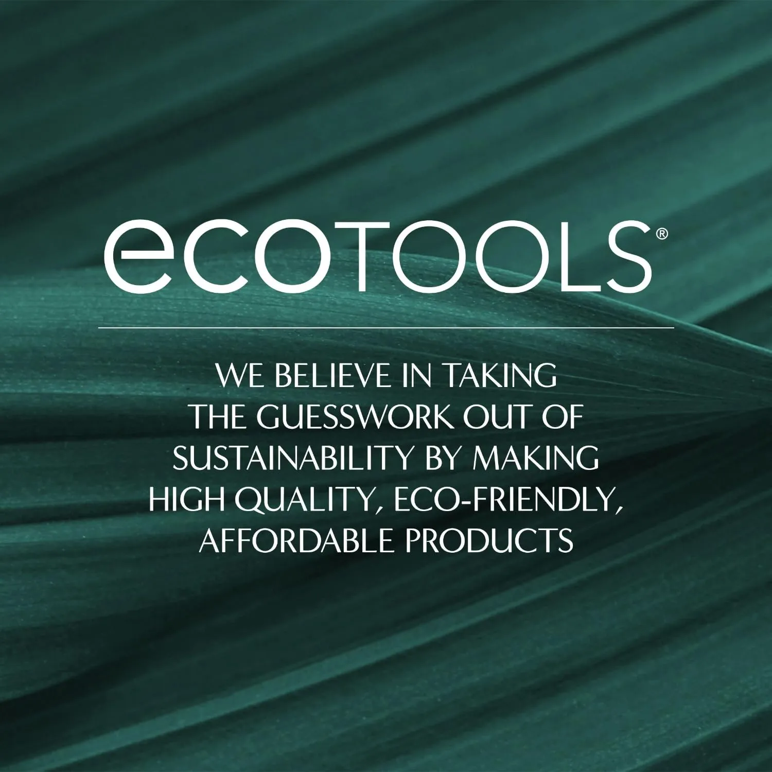 EcoTools XL Makeup Brush   Sponge Shampoo, Removes Makeup, Dirt, & Impurities From Makeup Brushes & Makeup Blending Sponges, Fragrance-Free, Vegan, & Cruelty-Free 16 fl. oz./473 ml, 1 Count, Clear
