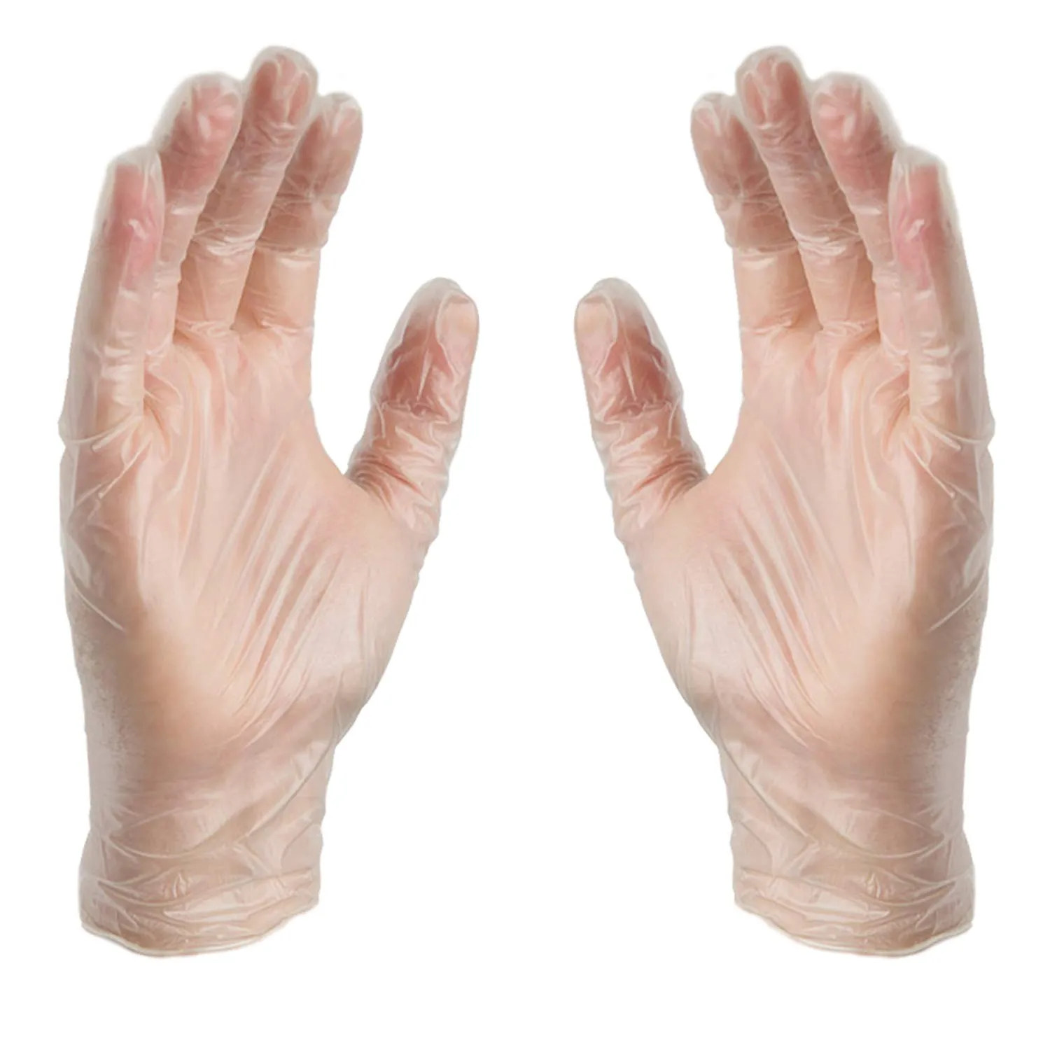 GLOVEPLUS AMMEX Industrial Clear Vinyl Gloves, Latex Free, Powder Free, Food Safe, Disposable, Non-Sterile