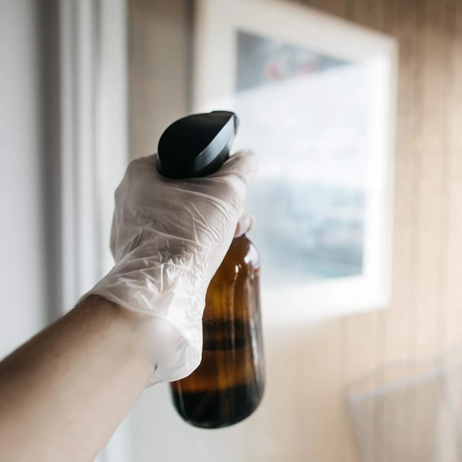 GLOVEPLUS AMMEX Industrial Clear Vinyl Gloves, Latex Free, Powder Free, Food Safe, Disposable, Non-Sterile