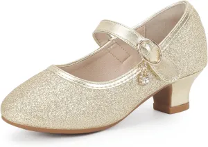 Hehainom Girls Dress Shoes Low Heels Flower Girl Mary Jane Princess School Wedding Party Toddler Little Kid Pump Shoes