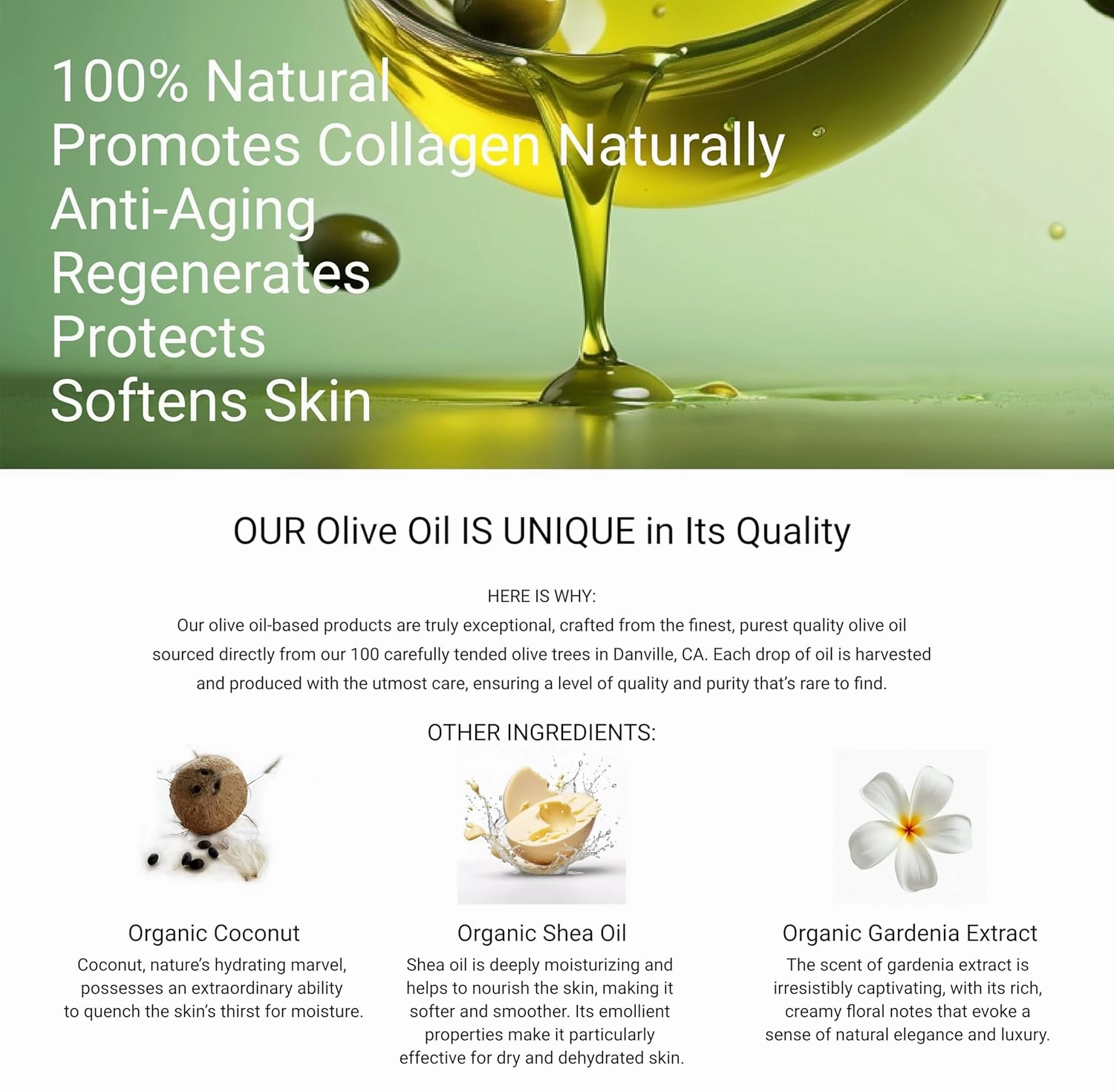 Jolie Radiance Renewal Beauty Cream - 100% Organic Olive Oil-Based Moisturizer | Deep Hydration & Glow | Clean Beauty, Vegan & Natural Skincare | Anti-Aging | Promotes Collagen