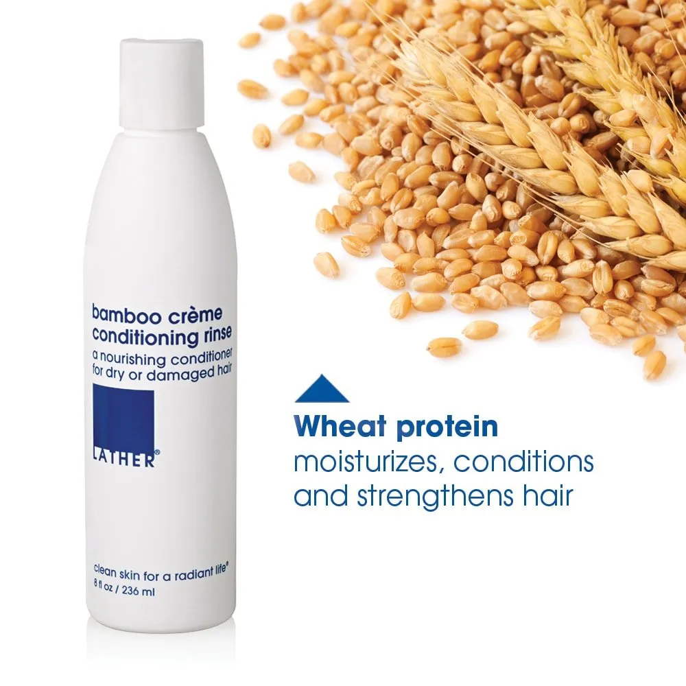 LATHER Bamboo Creme Conditioner - Hydrate Scalp on Dry or Damaged Hair - Light Weight & Non-Greasy Formula - Gentle Daily Hair Detangler Conditioner for Dry Hair - Sulfate Free - 8 Fl Oz Bottle