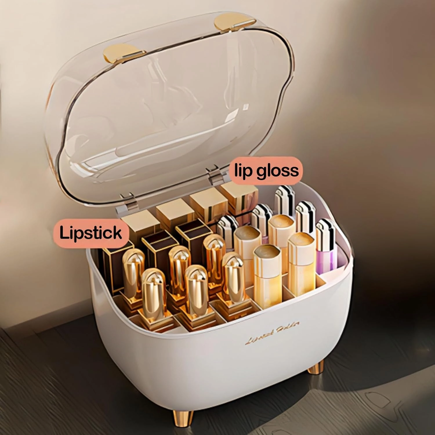 Lipsticks Holders with Clear Lid Lipstick Holders Organizer Lip Gloss Holders Lipstick Case Display Stand Storage Box Organizer and Storage Display Case for Lip Gloss Lipstick