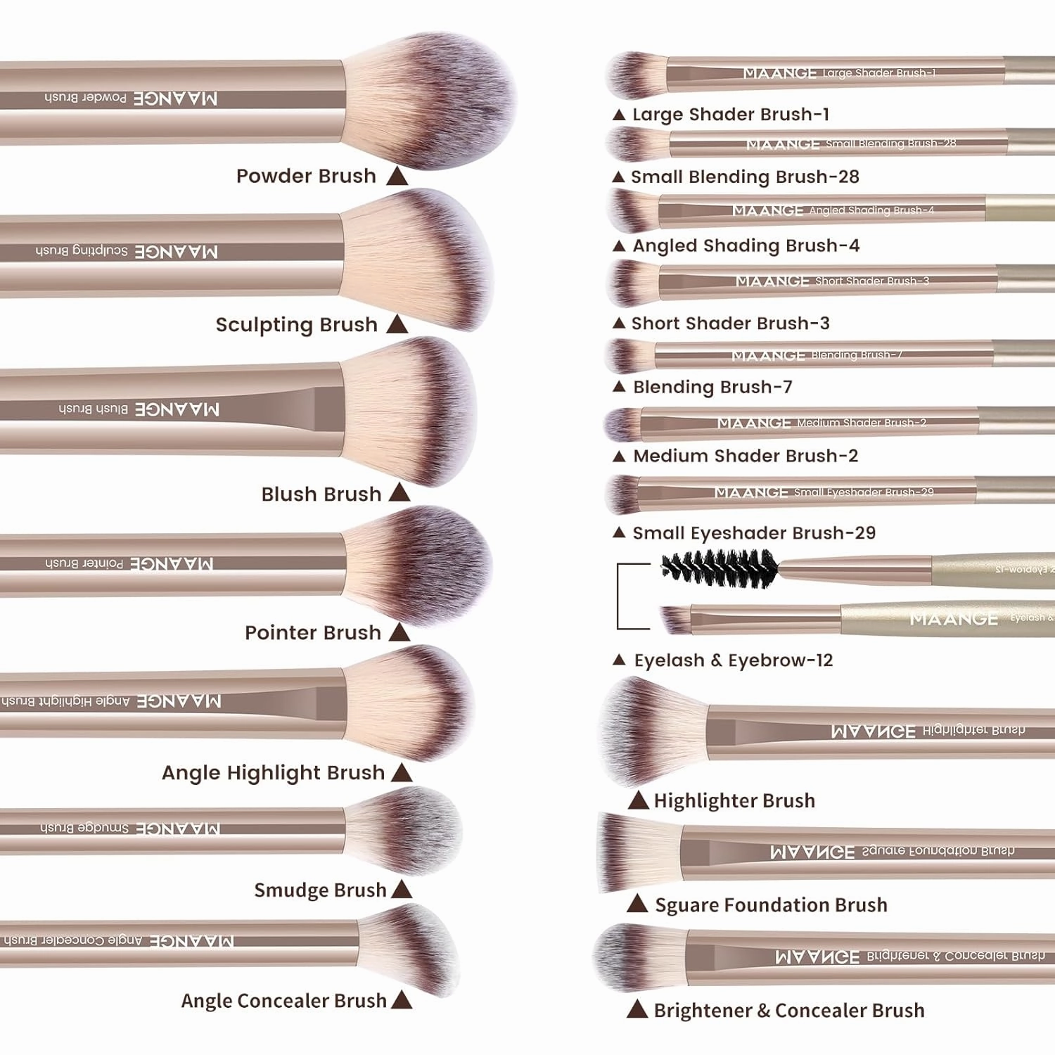 MAANGE 18 Pcs Makeup Brushes with Laser Bag, Premium Synthetic Makeup Brush Set Professional Makeup Tools Eyeshadow Eyebrow Foundation Blush Concealer Face Powder Blending Brushes Kit-Champange Gold