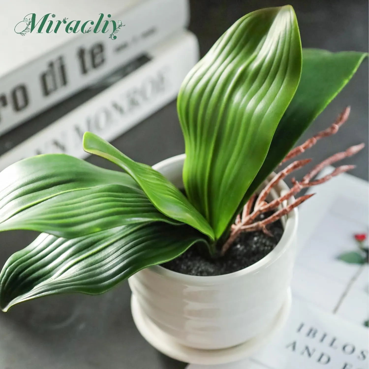 Miracliy Phalaenopsis Orchid Leaves Real Latex Touch Plants Arrangement