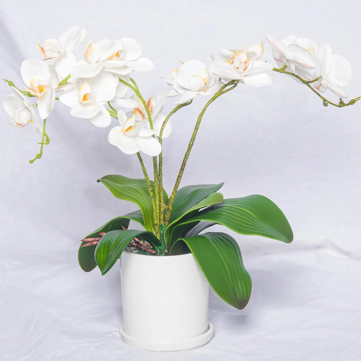 Miracliy Phalaenopsis Orchid Leaves Real Latex Touch Plants Arrangement
