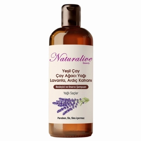 Natural Shampoo For Oily Hair - Hydrate & Repair - With Green Tea, Tea Tree Oil, Lavender, and Juniper Tar - Paraben-Free, Sulfate-Free - Natural Ingredients - 500ml / 16.9 fl oz