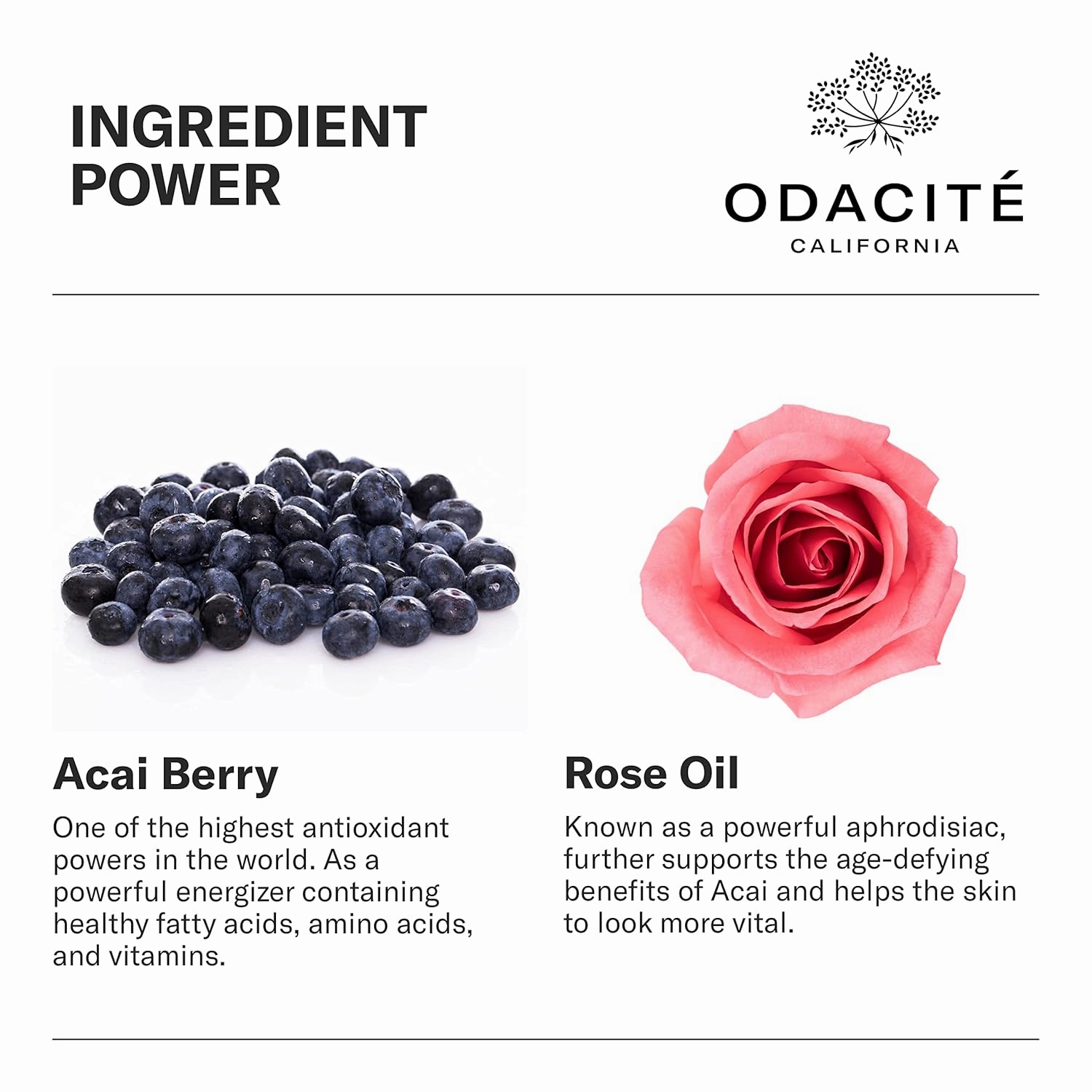 Odacité Anti Aging Serum Concentrate with Acai   Rose - Revitalizing Facial Oil, Youthful Glow, Improves Skin Tone, Wrinkles, and Firmness, Age defying, Rose Oil, 0.17 fl. oz.