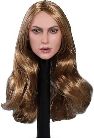 Phicen 1/6 Female Head Sculpt with Hair for 18" Female Body (C)