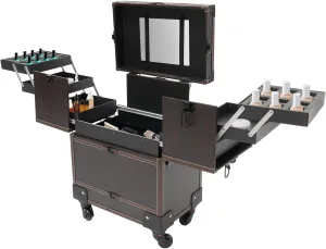 Rolling Makeup Train Case,Multi-functional Cosmetic Train Case with Locks,Professional Makeup Artist Rolling Train Case,Large Trolley Storage Case (Coffee)