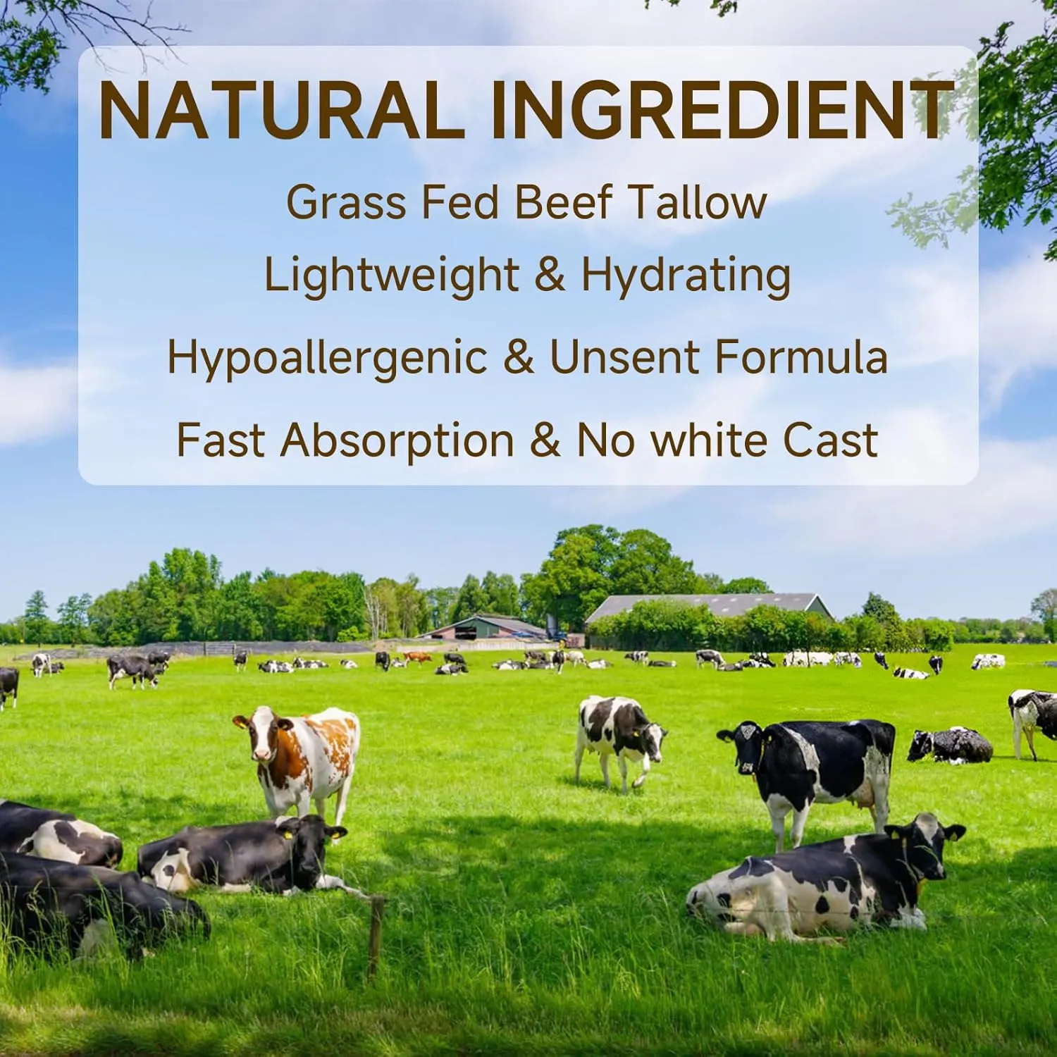 Tallow Sunscreen, Sunscreen for Face, SPF30 Natural Reef Safe Face Body Beef Tallow Sunblock, Non Greasy Clean Travel Sun Screen Sunblock for Outdoor Travel, 4.92 OZ,2 Pack