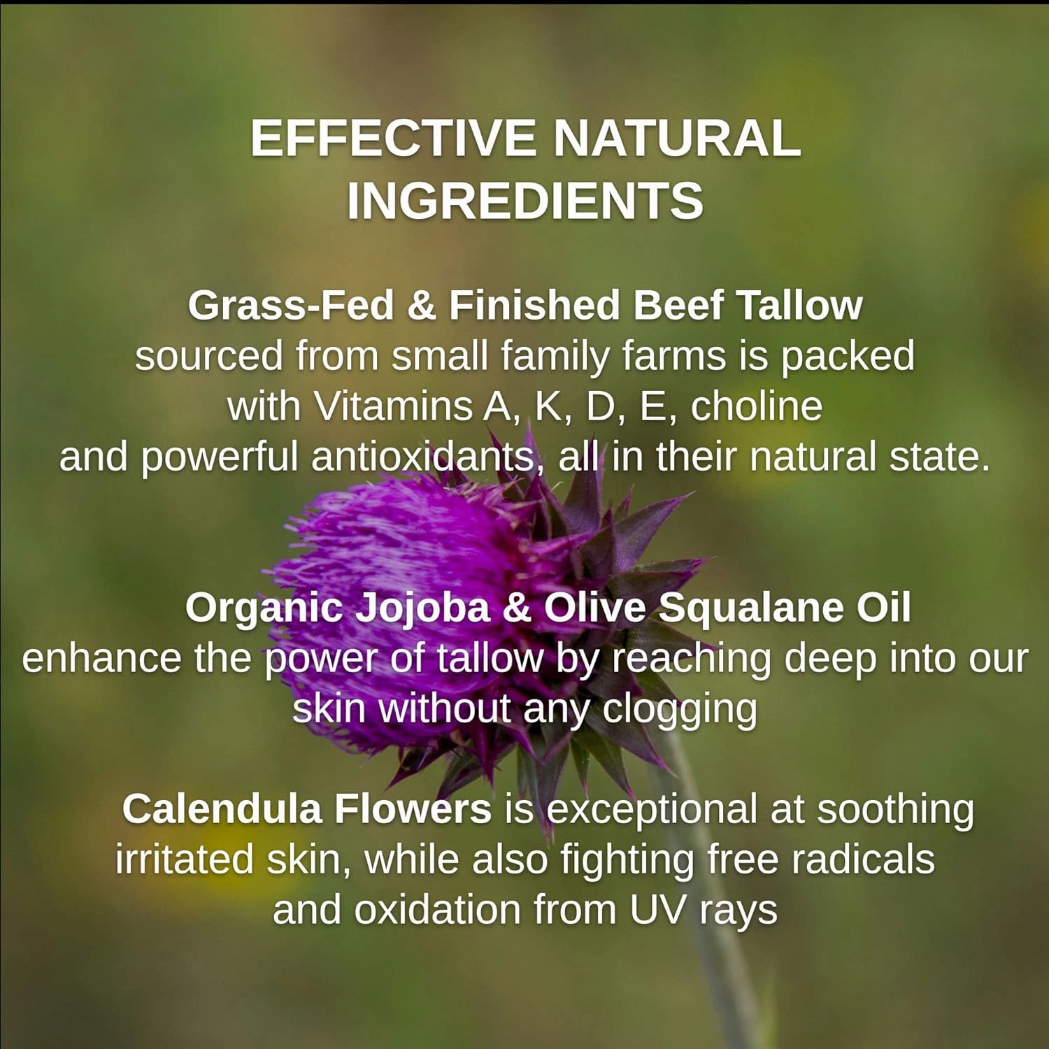 Tallow & Squalane Non-Comedogenic Face Balm - Tallow Moisturizer - 100% Grass-Fed Tallow, Squalane & Calendula Flowers - Creates Soft, Smooth Skin - 2 Oz (Mild Geranium Rose   Lavender)