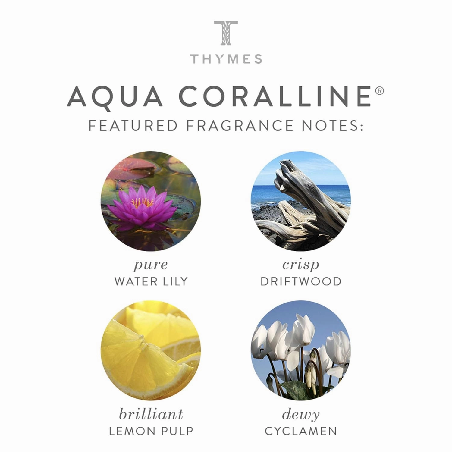 Thymes Cologne Spray Pen - 0.34 Fl Oz - Aqua Coralline