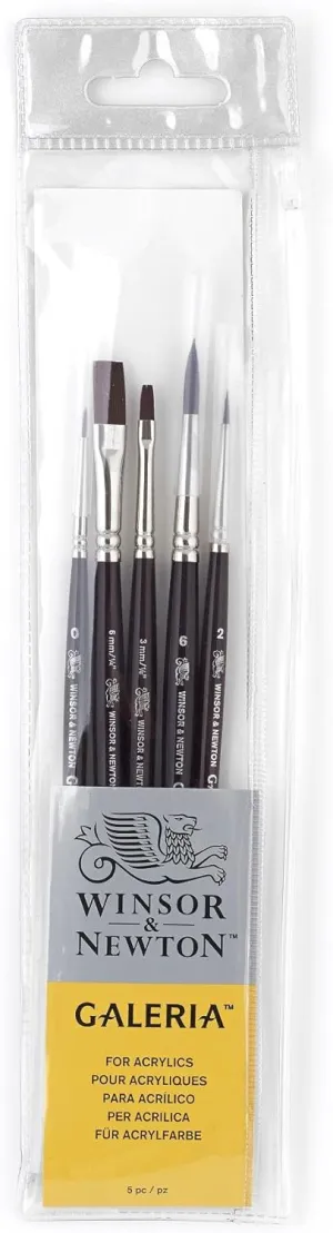Winsor & Newton Galeria Short Handle Brush (5 Pack) (Round 0, 2, & 6, One Stroke 1/8" & 1/4")